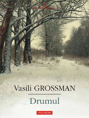 cover image of Drumul